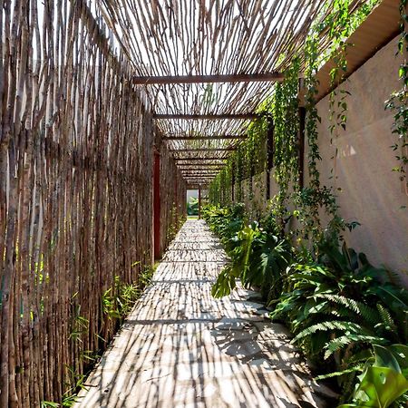 Natu Boutique Stays São Miguel dos Milagres 外观 照片